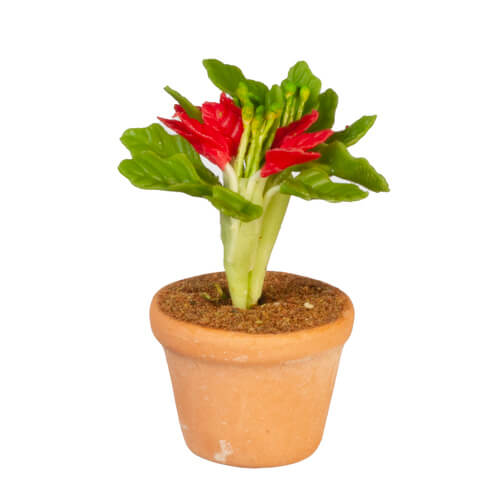 (image for) Potted Red Flowering Houseplant