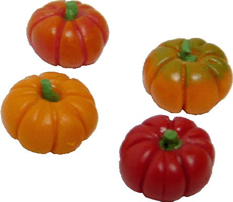 (image for) Heirloom Tomatoes / Gourds 4pc