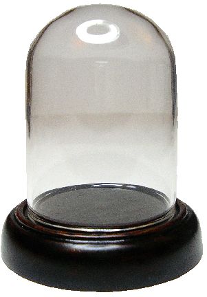 (image for) Glass Dome Display on Wood Base Large